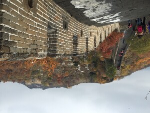 IMG_0716