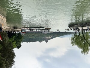 IMG_5725