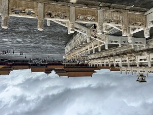 IMG_5776