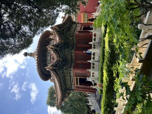 IMG_5803