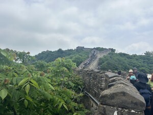 IMG_5822