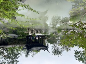 IMG_5913