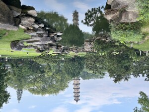 IMG_5975