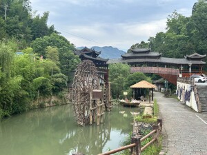 IMG_6005