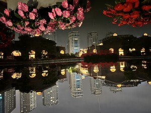 IMG_6231